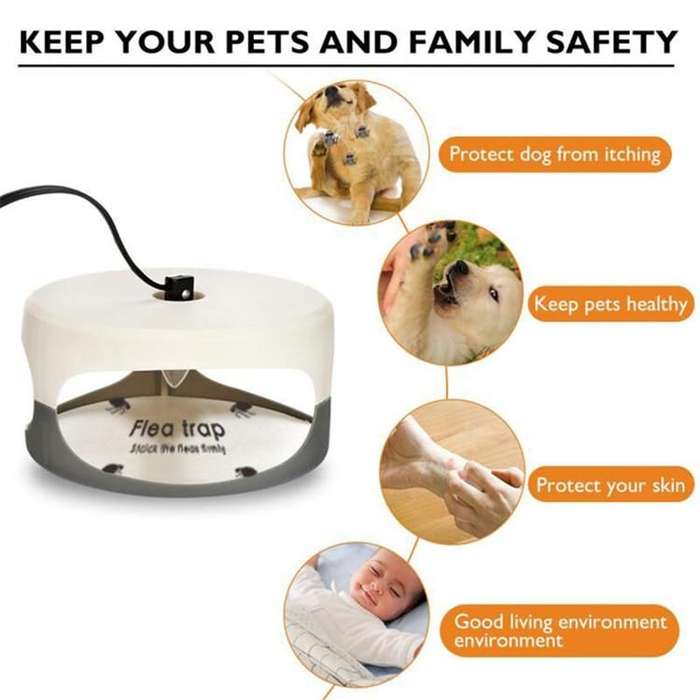 Flea Trap Pet Home Flea Lamp, Plug Type:JP Plug