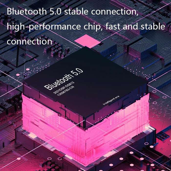 DS813 Live Wireless Bluetooth Microphone(Pink)