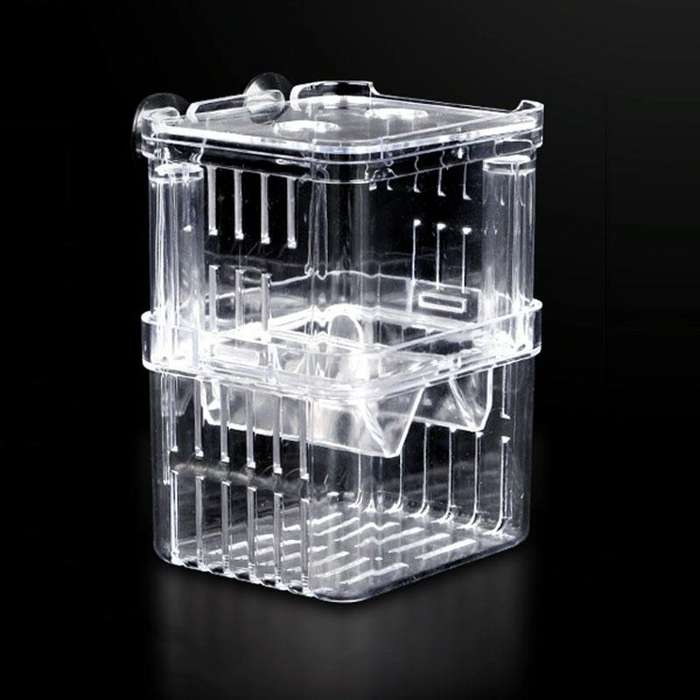 Small Peacock Fish Double Layer Transparent Breeding Isolation Box Aquarium Breeding Box