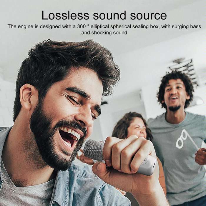 YS-203 Bluetooth Karaoke Speaker Wireless Microphone(Black)