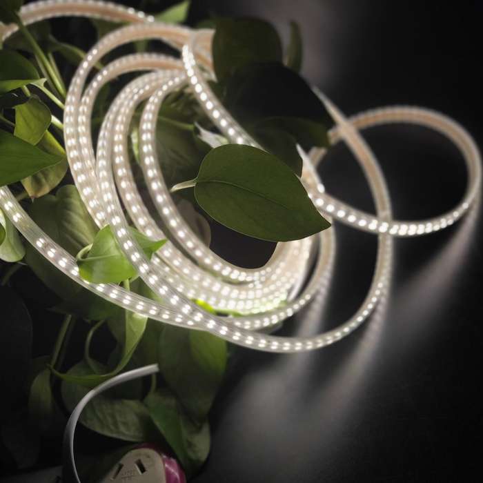 10m SMD 2835 1200 LEDs LED Strip Light, AC 220V-240V, EU Plug (White Light)