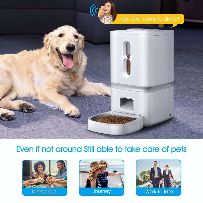 7L Smart Pet Feeder Timed Quantitative Large Window Cat And Dog Food Dispenser, Plug Type: EU Plug