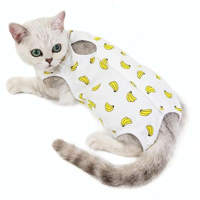 Female Cat Breathable And Anti-Licking Sterilization Clothing, Size: M(Banana)