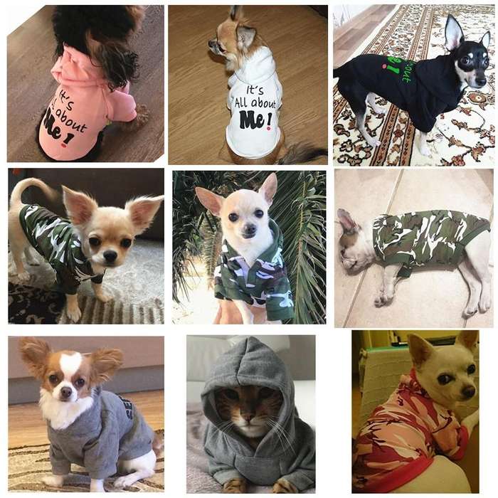 Autumn Winter Fleece Hooded Teddy Pet Dog Sweater Clothes, Size:M(Blue)