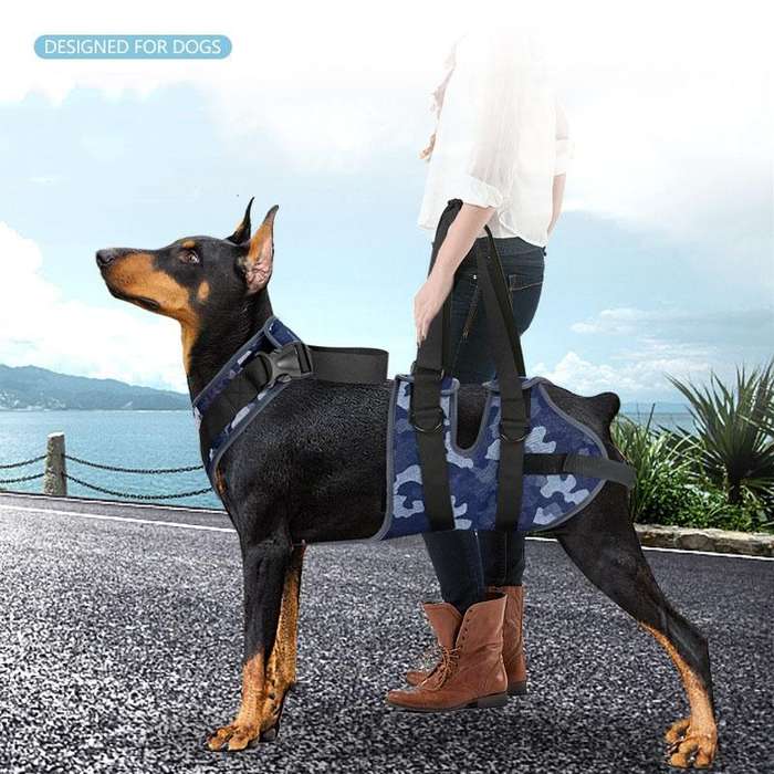 Injured Dog Auxiliary Leash Front and Rear Leg Double Slings For Large and Medium-sized Dogs, Siz...