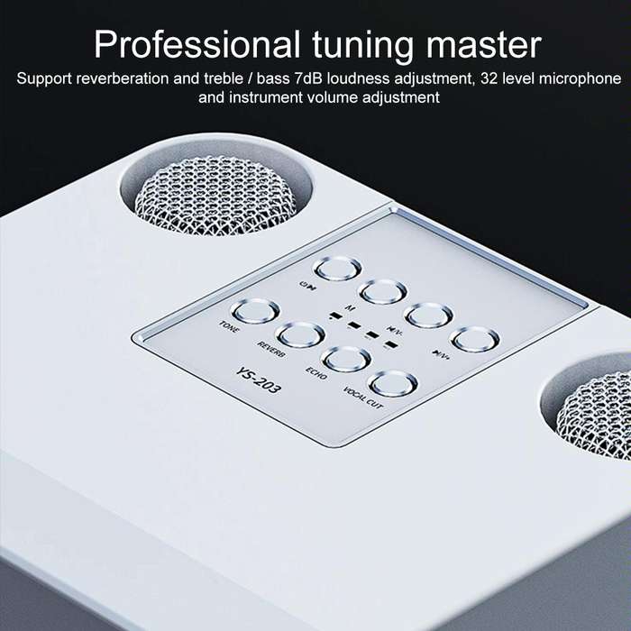 YS-203 Bluetooth Karaoke Speaker Wireless Microphone(Black)