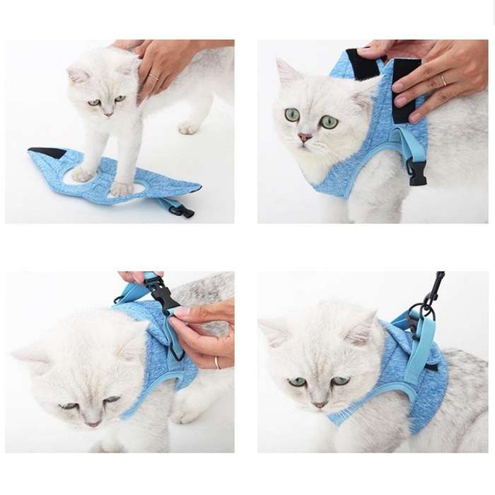 Cat Leash Pet Chest Harness Leash, Size: L(Green)