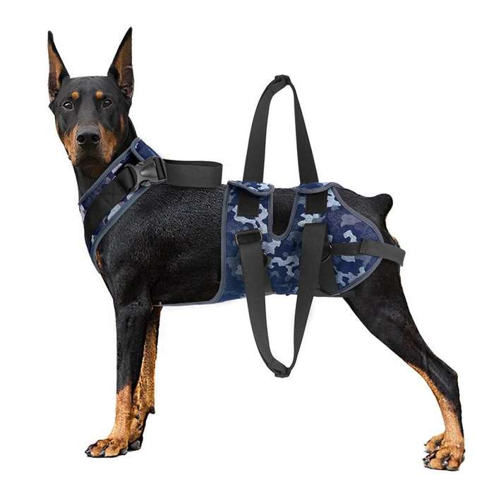 Injured Dog Auxiliary Leash Front and Rear Leg Double Slings For Large and Medium-sized Dogs, Siz...