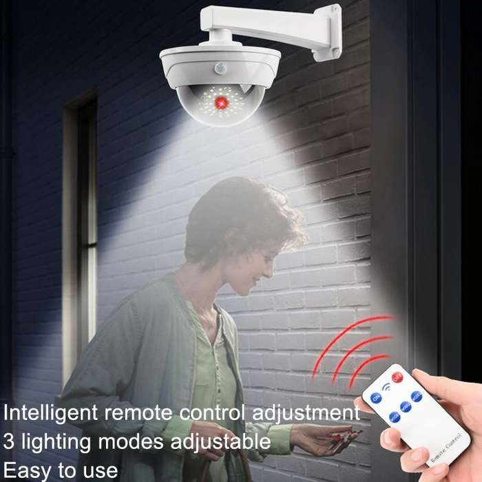 Solar Simulation Camera Monitoring Light Human Body Induction Wall Light(TY11301 LED)
