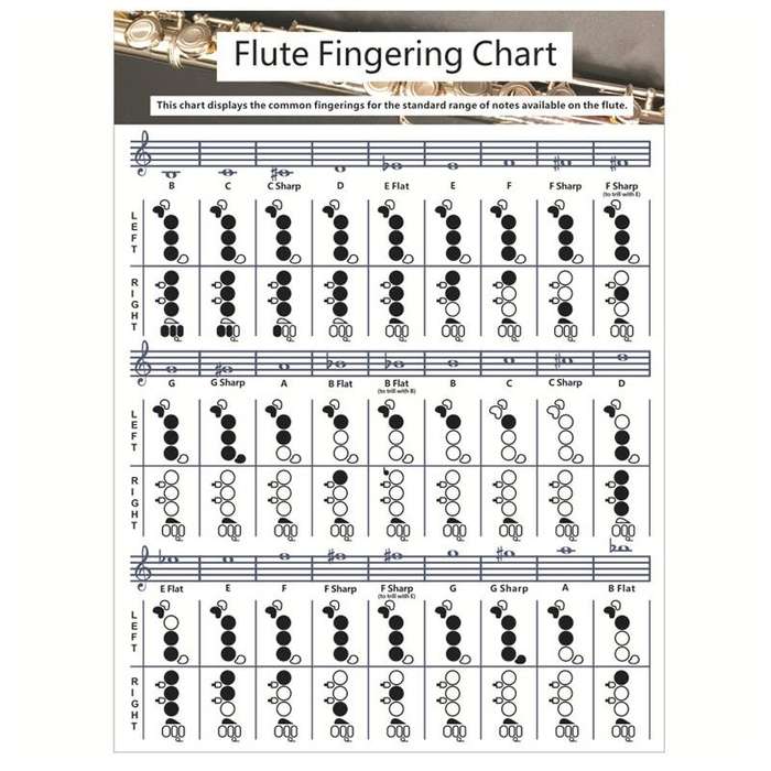 Coated Paper Flute Chord Fingering Practice Chart Staff Chord Fingering(Large)