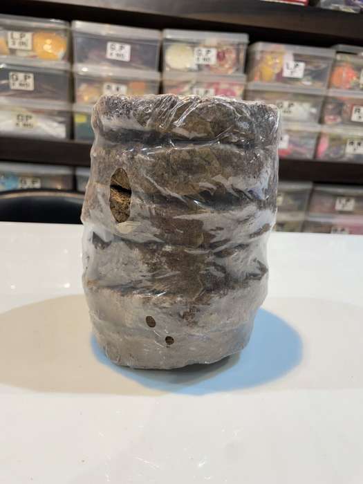 Sacred Offering: Pack of 6 Pure Holy Cow Dung Cakes | Uple | Kande for Pooja