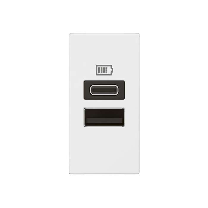 Legrand Arteor Type-A and Type-C Socket Module