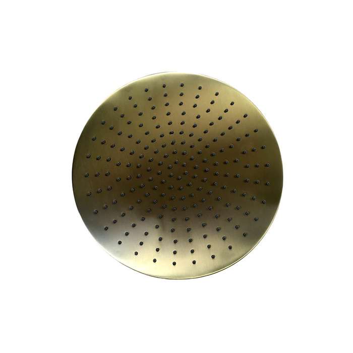 Trendy Taps Large Shower Head - Brushed Gold