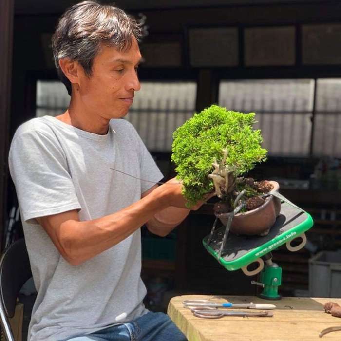 Green T Mini Bonsai Turntable - Green T Mini suction model