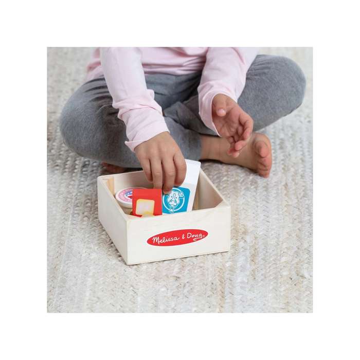 Melissa & Doug Food Group - Dairy