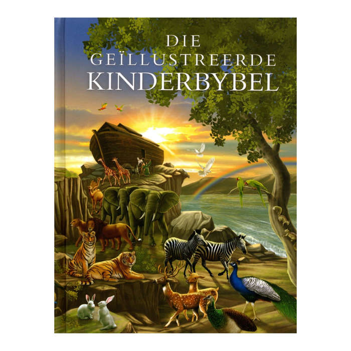 Book Religious Afrikaans Children's Bible