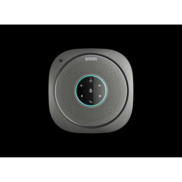 C300 Personal Conference Speaker
