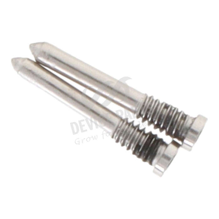 Bottom Screws for iPhone 16/16 Plus/16 Pro/16 Pro Max/16e Silver Ori 2pcs in one set