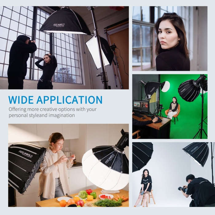FEELWORLD FL225D 225W Daylight Point Source Video Light, Bluetooth APP Control (EU Plug)