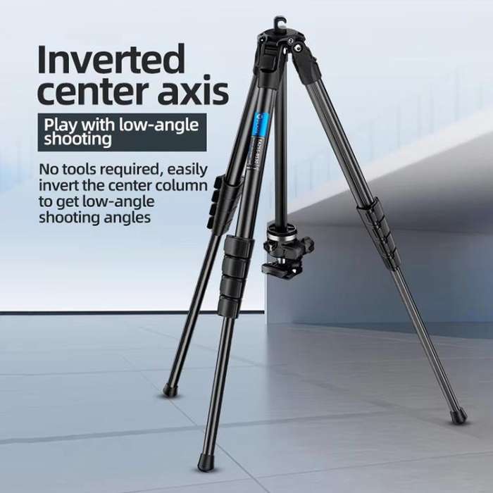 BEXIN TA255-BS30 Portable Collapsible Aluminum Alloy Camera Tripod with Head (Black)