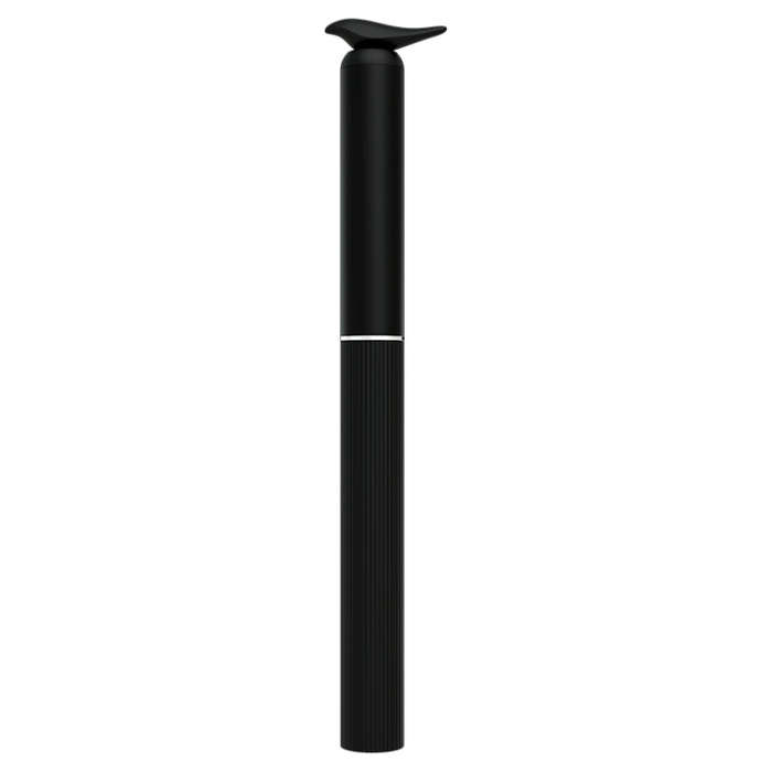 T1 Portable Smart Visual Earpick Earwax Removal Tool (Black)