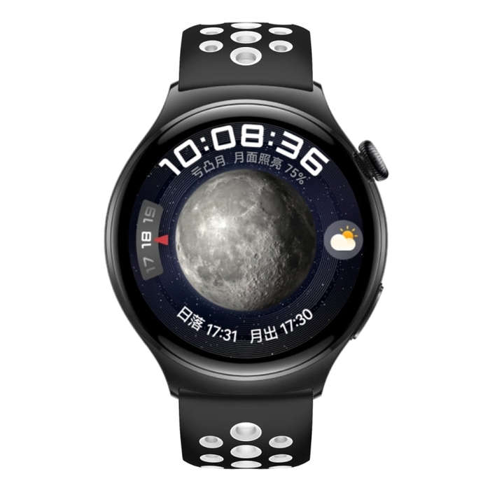 For Huawei Watch 4 Two Color Round Hole Silicone Watch Band(Black White)