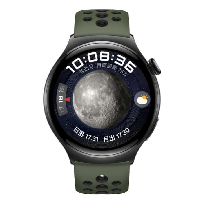For Huawei Watch 4 Two Color Round Hole Silicone Watch Band(Spruce Green)