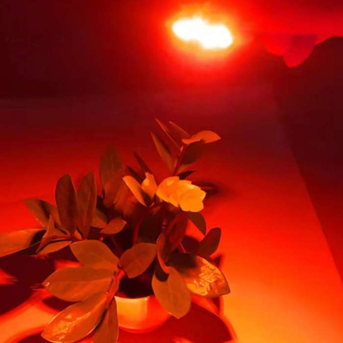 3W 6 LEDs SMD 5730 LED Module Lamp Lighting Source(Red Light)