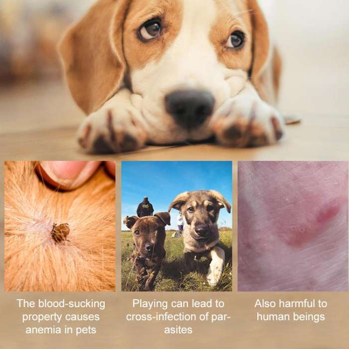 Pet Deworming Calming Collar Fleas Ticks Removing, Aluminum Box Packing, Model:72cm For Large Dog...