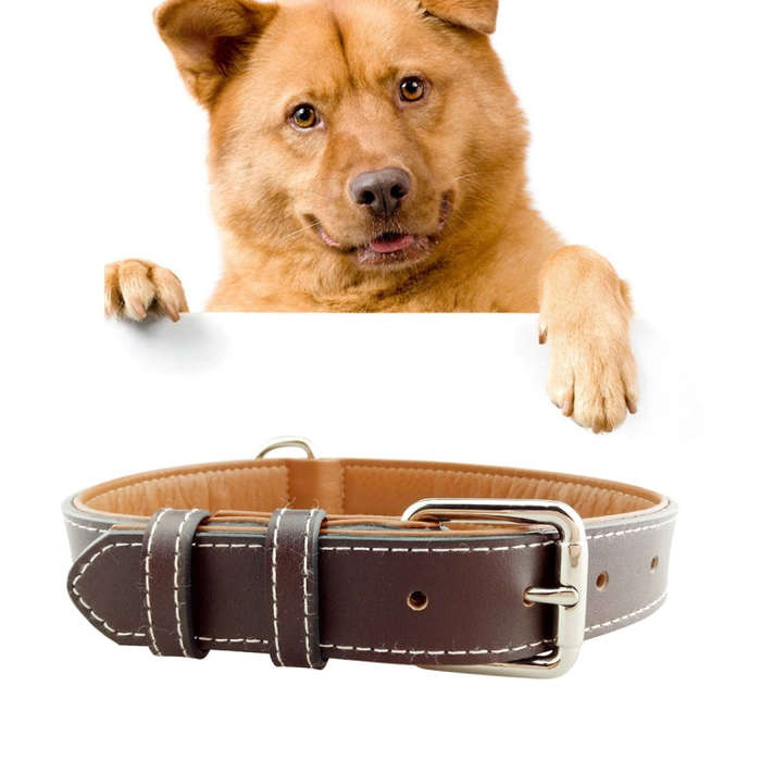 Leather Pet Dog Collar Pet Products Big Dog Collar, Size: M, 2 * 42cm(Complexion)