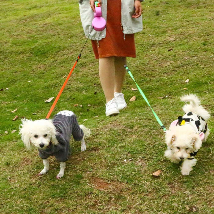 Two-headed Creative Automatic Retractable Pet Traction Rope (Pink)