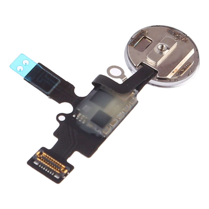 New Design Home Button (2 nd ) with Flex Cable for iPhone 8 Plus / 7 Plus / 8 / 7(Silver)
