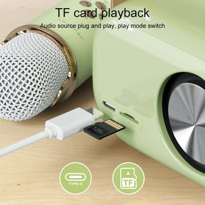 C20 Plus Multifunctional Karaoke Bluetooth Speaker With Microphone (Green)