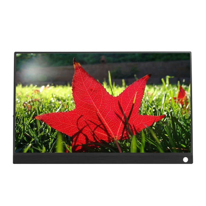 15.6 inch 1080P 178 Degree Wide Angle HD Portable IPS LED Display Monitor
