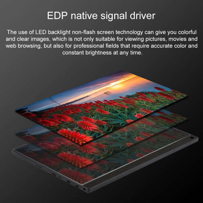 15.6 inch 1080P 178 Degree Wide Angle HD Portable IPS LED Display Monitor