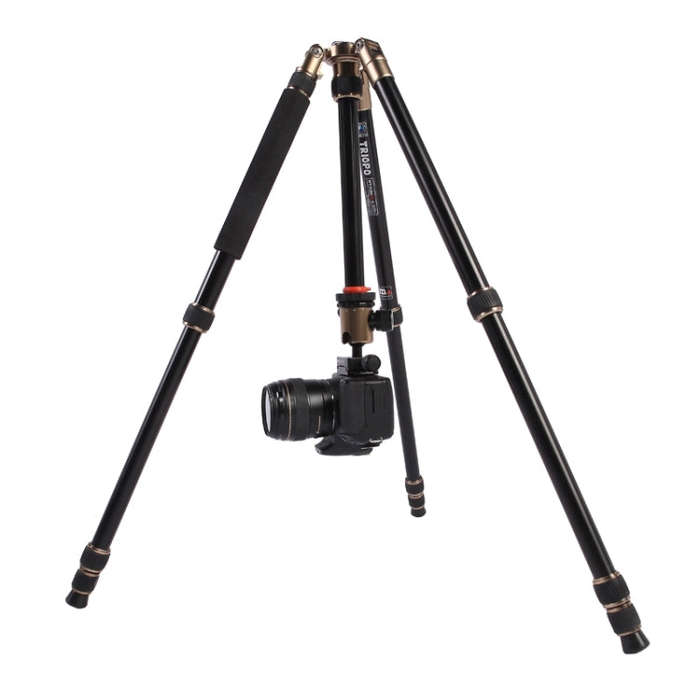 Triopo MT-2504C Adjustable Portable Aluminum Tripod (Gold) with NB-1S Ball Head (Black) for Canon...