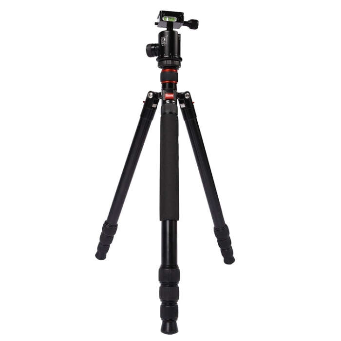Triopo MT-2804C Adjustable Portable Aluminum Tripod (Gold) with NB-2S Ball Head (Black) for Canon...