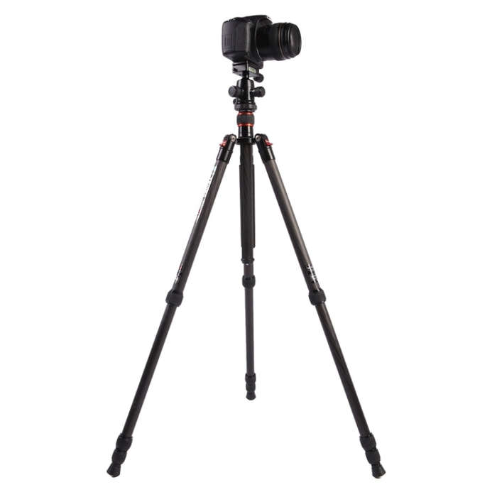 Triopo GT-2504X8.C Adjustable Portable Carbon Fiber Tripod with B-1 Aluminum Ball Head for Canon ...