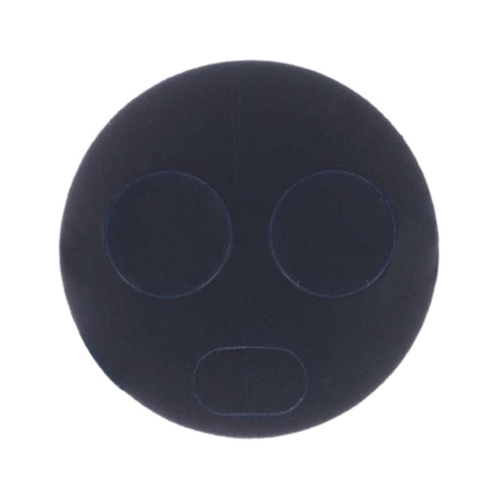 10 PCS Back Camera Lens for Motorola Moto X4