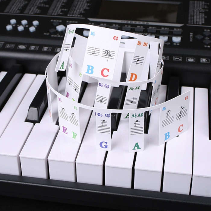 Children Beginner Piano Keyboard Color Stickers Musical Instrument Accessories, Style: Imitation ...