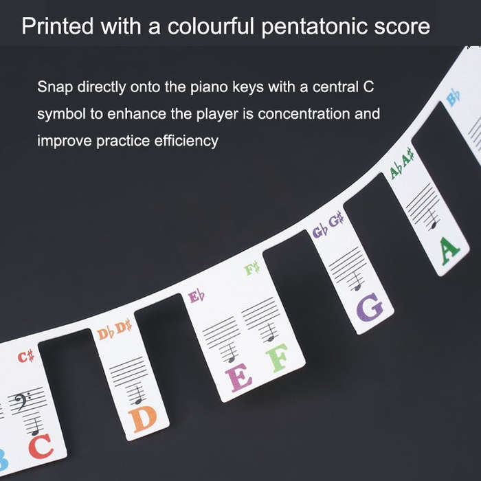 Children Beginner Piano Keyboard Color Stickers Musical Instrument Accessories, Style: Imitation ...