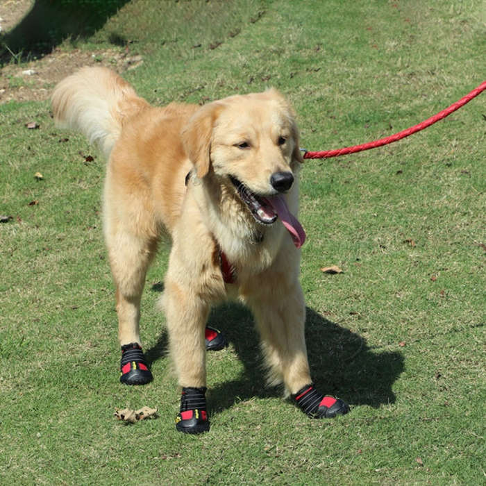 4 in 1 Autumn Winter Pet Dog Foot Cover Waterproof Shoes, Size:6x4cm(Red)
