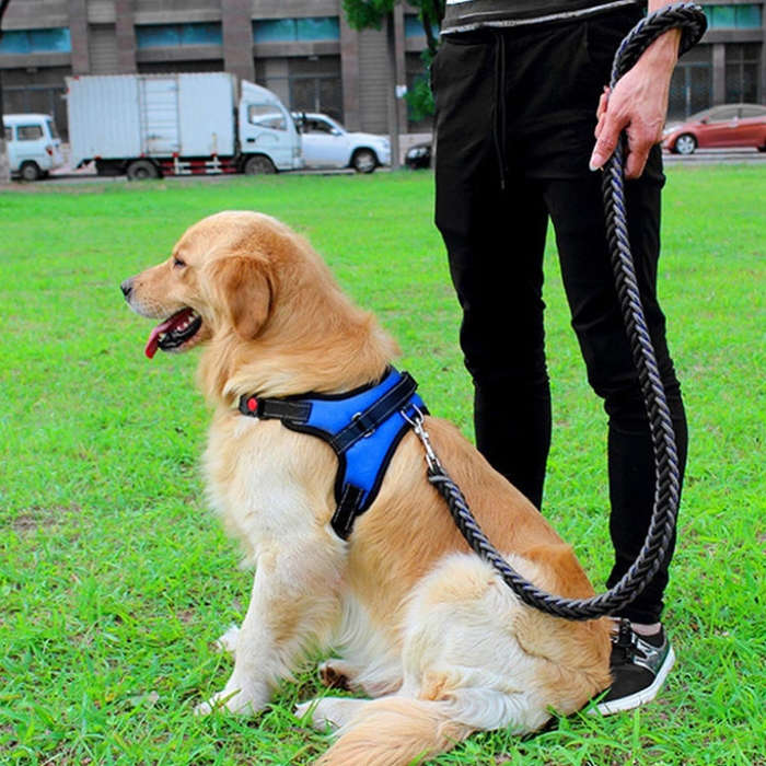 For Small Medium Large Dogs Pet Walking Chest Strap, Size:M(Black)