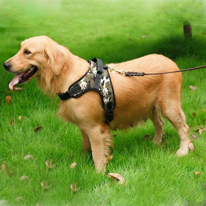 For Small Medium Large Dogs Pet Walking Chest Strap, Size:XL(Black)