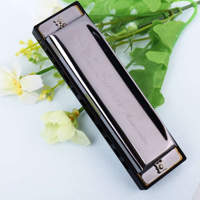 Swan 10 Holes Full-scale Bruce Harmonica Beginner Children Adult Students Playing Musical Instrum...