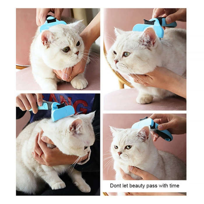 Pet Comb Stainless Steel Double-Sided Open Knot Clean Beauty Hair Removal Comb, Size:Large(Blue)
