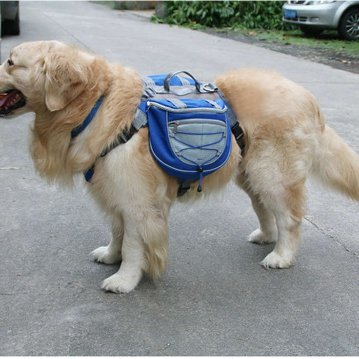 Self-Portable Backpack For Dogs Out Of The Backpack Breathable Mesh Pet Bag, Specification: L(Blue)