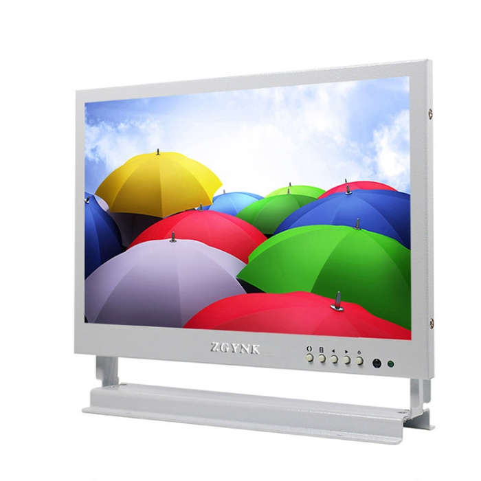 ZGYNK TB1016 10 Inch LCD Screen Ear Picking Equipment High-Definition Video Storage Display, US P...