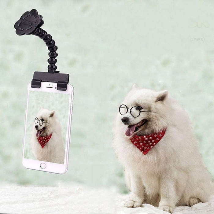 Pet Camera Artifact Dog Cat Looking At Camera Phone Clip(Black)