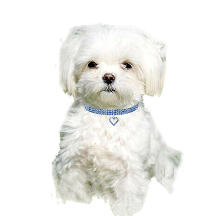 Pet Supplies Elastic Love Cats And Dogs Accessories Pet Collars, Size:L(White)